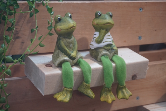 蛙のカップル